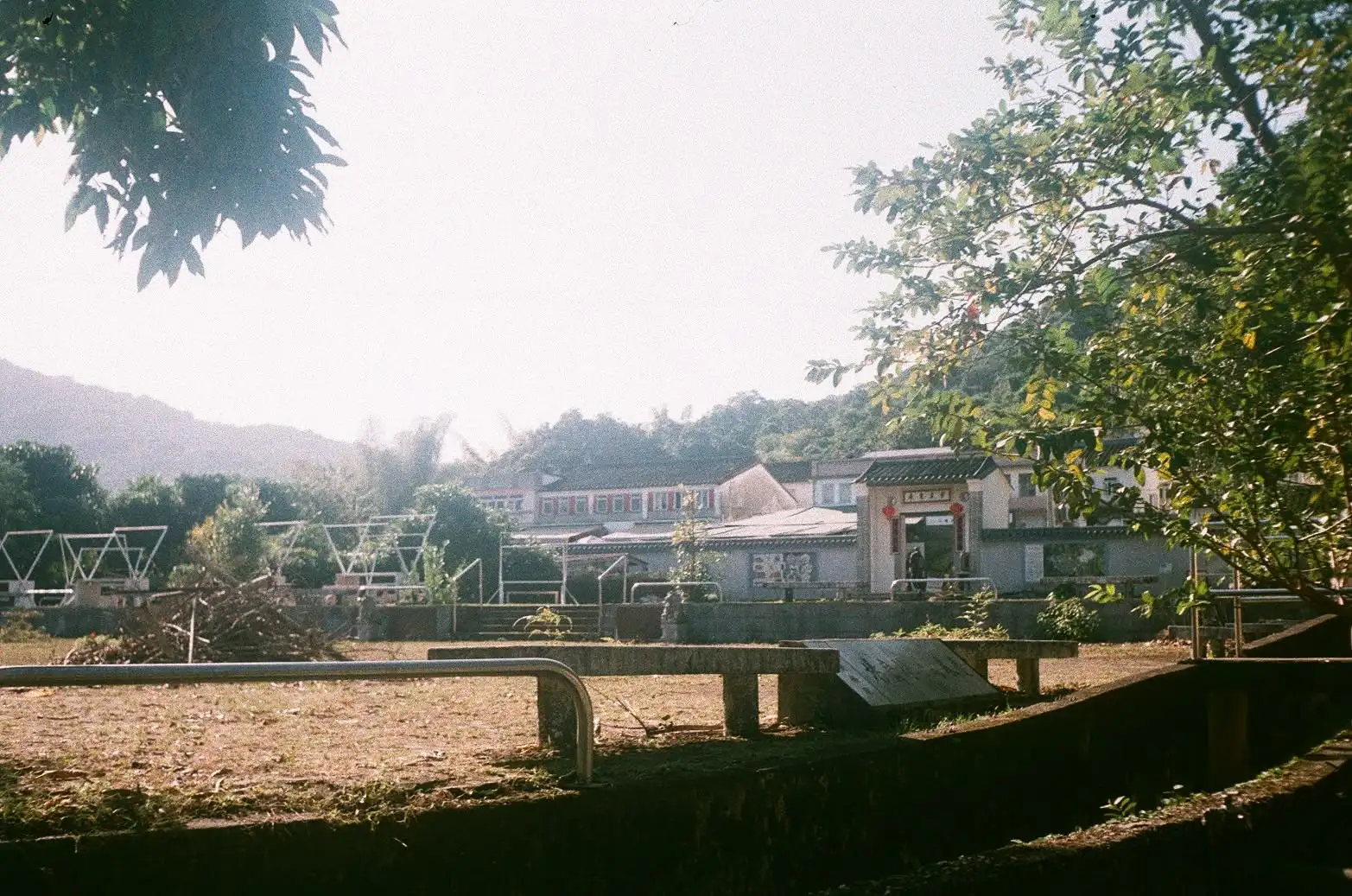 漫遊荔枝窩 - image 1